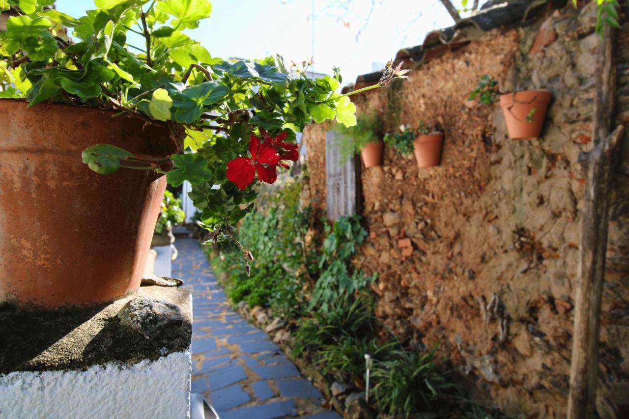 Las Casas De La Tia Sabina - Only Adults By Sierra Viva Cortelazor Exteriör bild